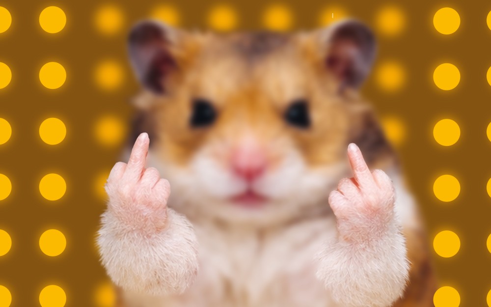 Eine Maus,
                                                die mit ihren Pfoten den Mittelfinger zeigt.