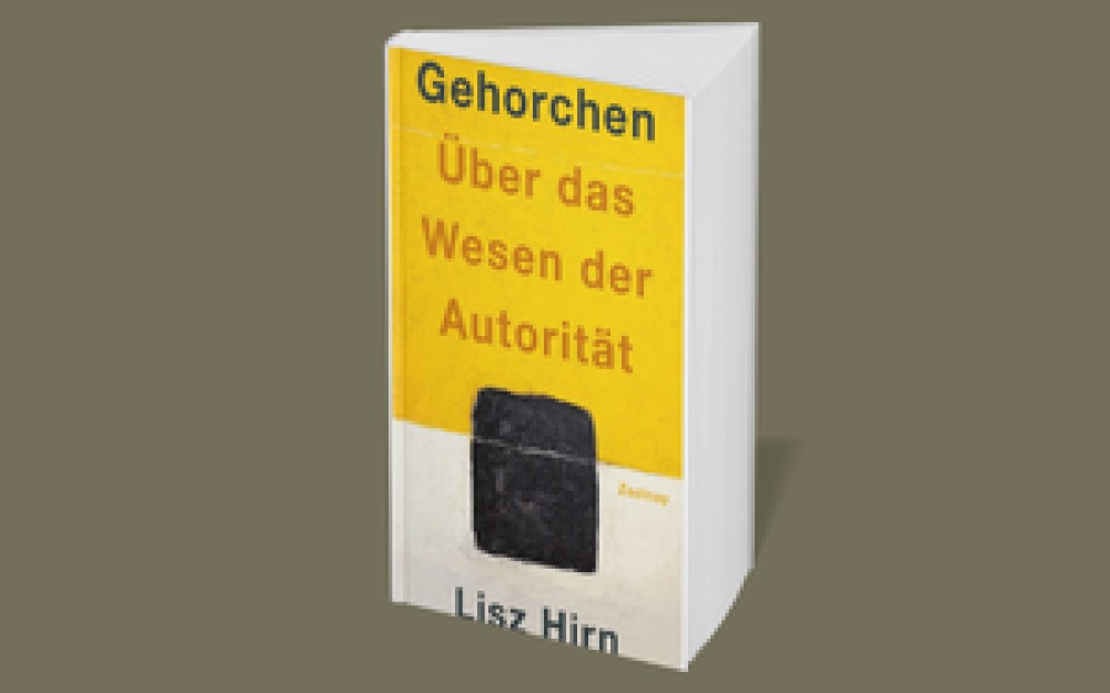 Buchcover
                                                von Lisz Hirn
