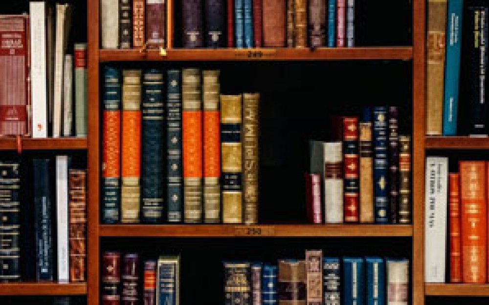 Ausschnitt aus einem Bücherregal