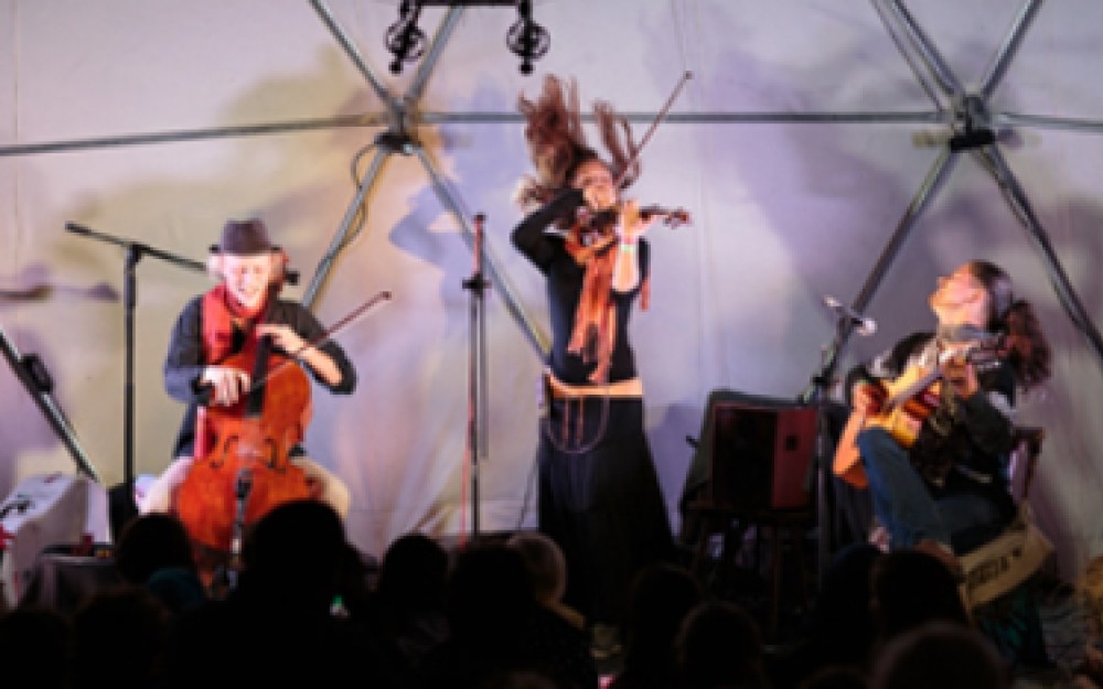 Das Wild String Trio - drei Musikerinnen und Musiker
                                                in Leidenschaft verbunden