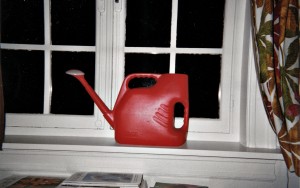 Eine
                                 rote Gießkanne steht vor einem weißgestrichenen Kastenfenster.